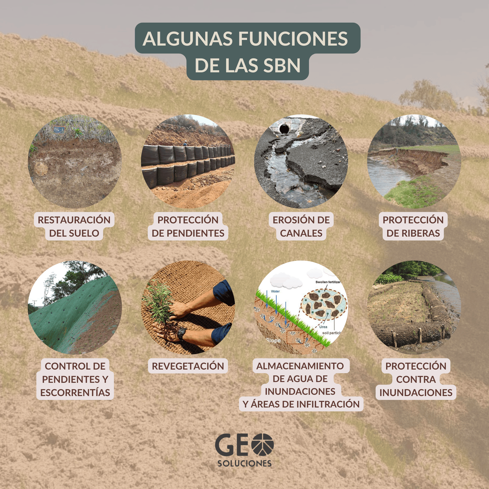 Soluciones basadas en la naturaleza y Bioingeniería